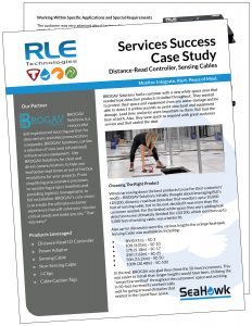 Services Success Case Study with Brogav